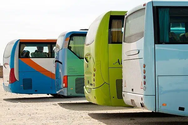reisegruppen busse